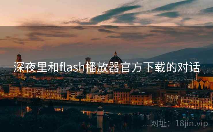 深夜里和flash播放器官方下载的对话  第1张