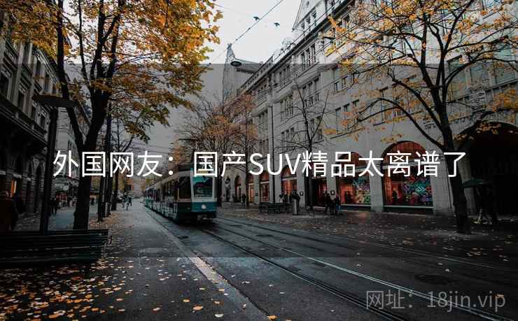 外国网友：国产SUV精品太离谱了
